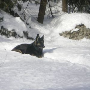 Meet your Posher, Paulette